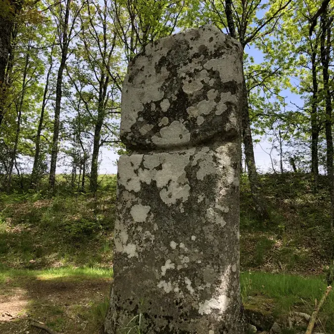 Statue-menhir de Picarel_Fraisse-sur-Agout