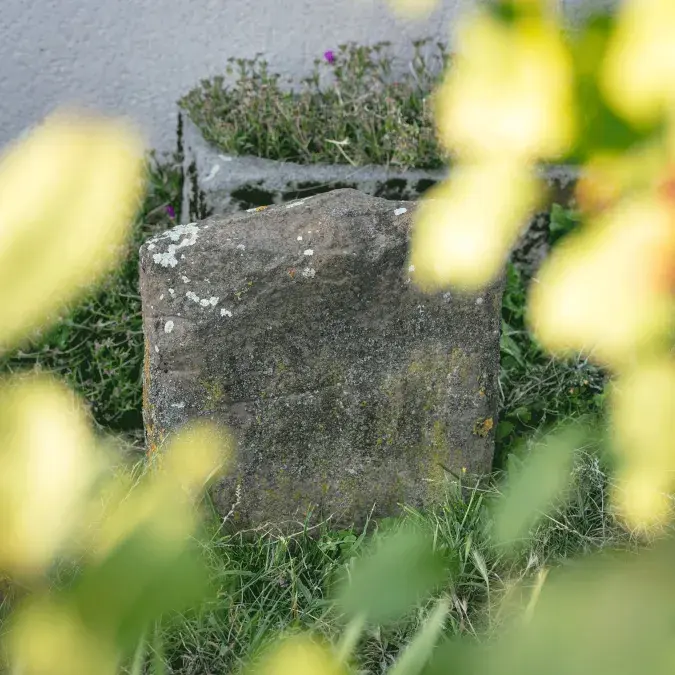 Statue-menhir partiellement dissimulée par la végétation