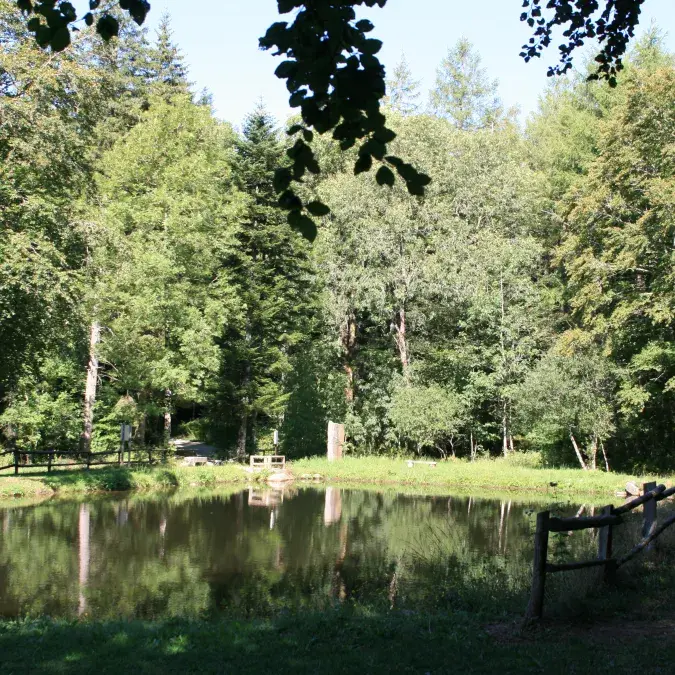 Passage par le bassin de Poutras à Picotalen