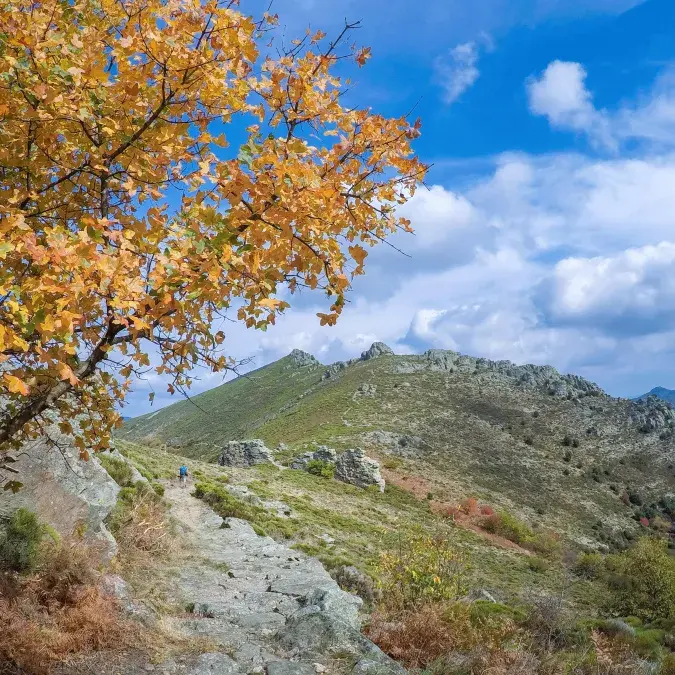 Portail de Roquandouire au kilomètre 16