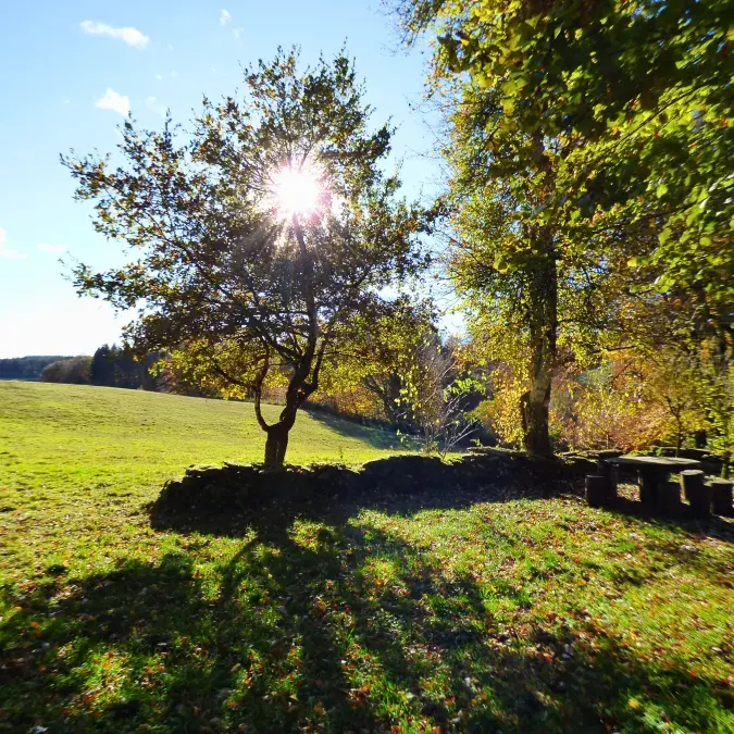 Aire de pique-nique de Campblanc_Fraisse-sur-Agout