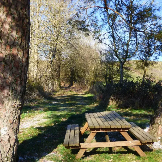 Aire de pique-nique du Castelas_Murat-sur-Vèbre