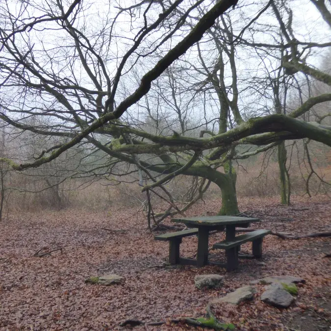 Aire de pique-nique - Parking accès lac de Vesoles_Fraisse-sur-Agout