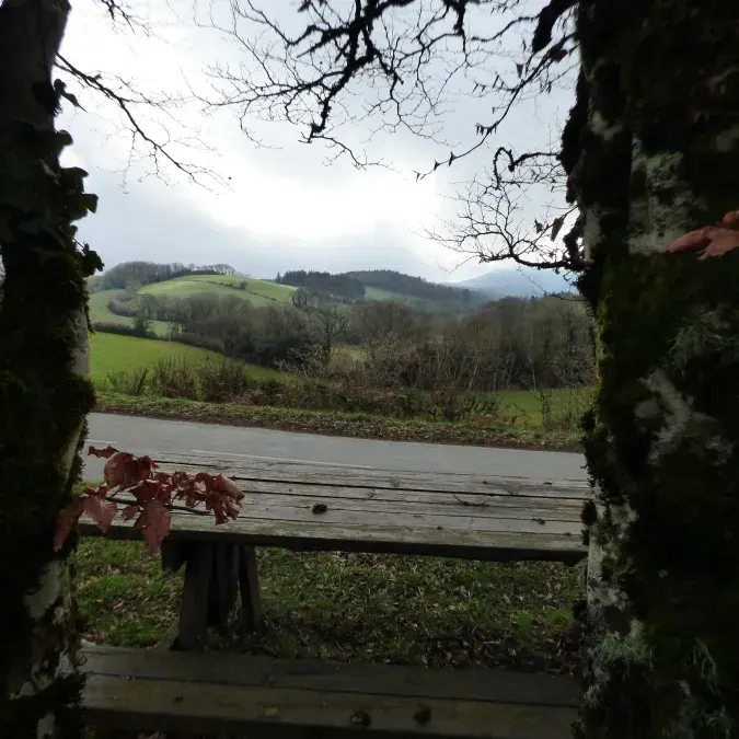 Aire de pique-nique - Route de Brusque_Murat-sur-Vèbre