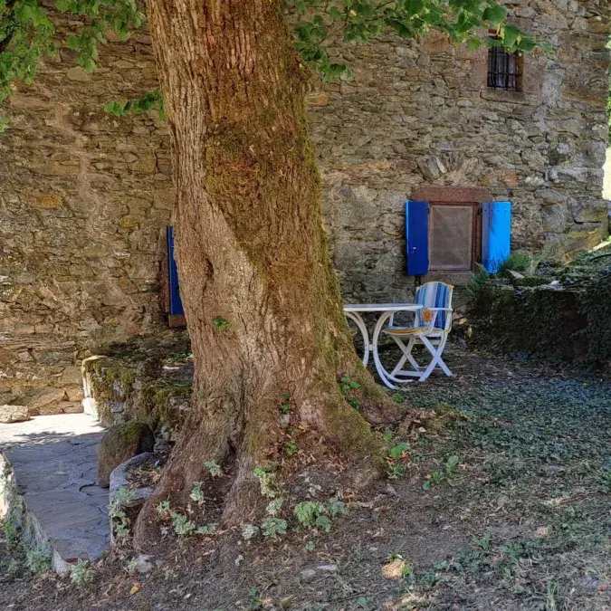 Cambert - Murat-sur-Vèbre, Tarn - G832 Gîtes de France