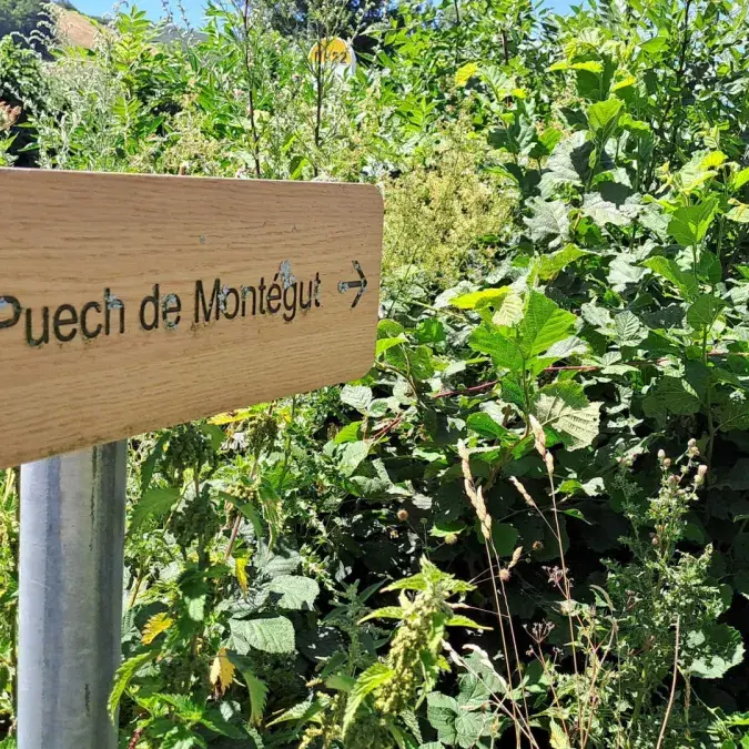 Montaigut - Murat-sur-Vèbre, Tarn - G128 Gîtes de France Tarn