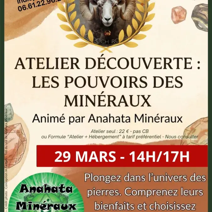 Atelier découverte : le pouvoir des minéraux_Rosis