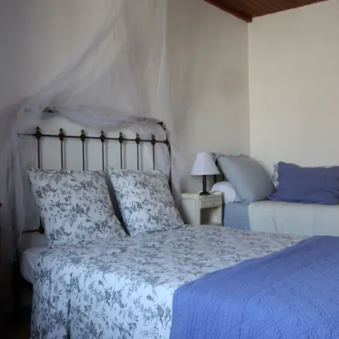 Didier Martello - Lacaune-les-Bains