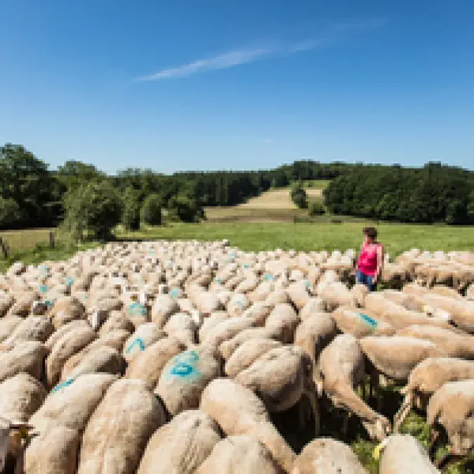 Fromagerie de Lamarque