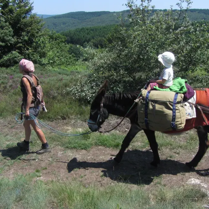 Balade à dos d'âne
