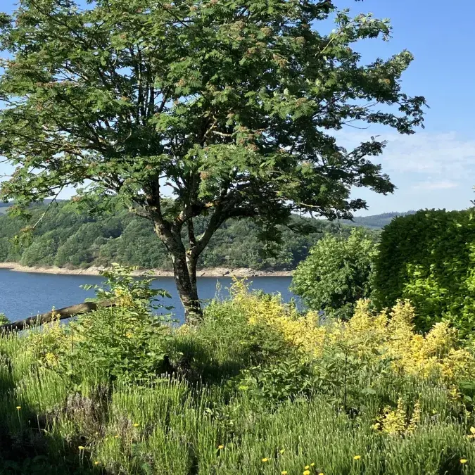 PRL des Rives du Lac du Laouzas