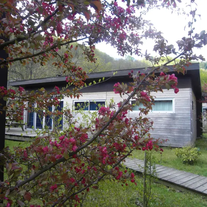 Les Terrasses de l'Agout (5)