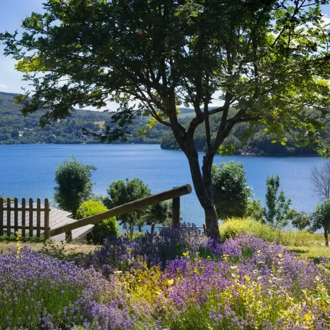 Les Rives du Lac du Laouzas
