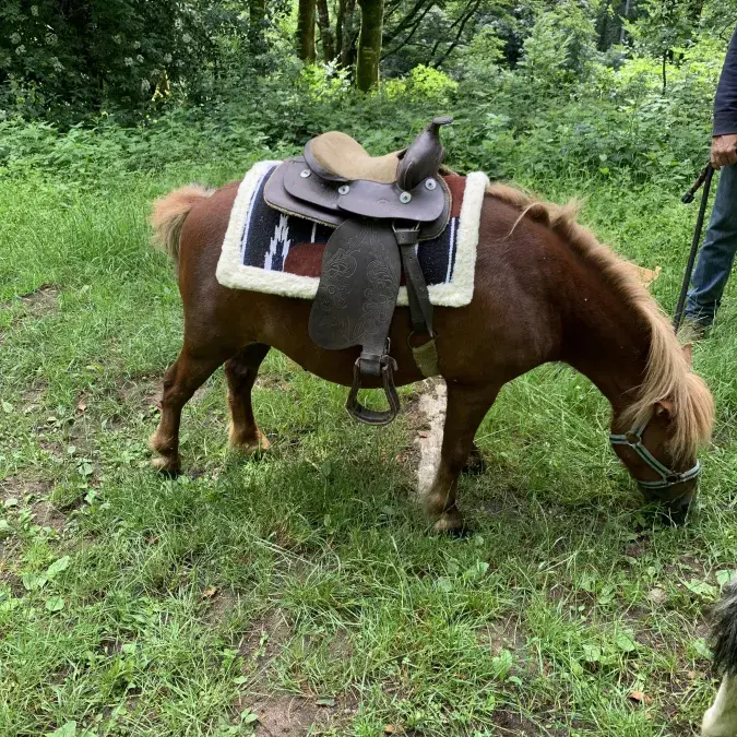La vie de ranch pour les ados_Le Soulié