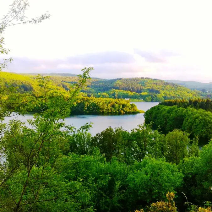 GR® de Pays Tours en Monts & Lacs en Haut-Languedoc - Circuit n°3 : Tour du lac de la Raviège_Anglès