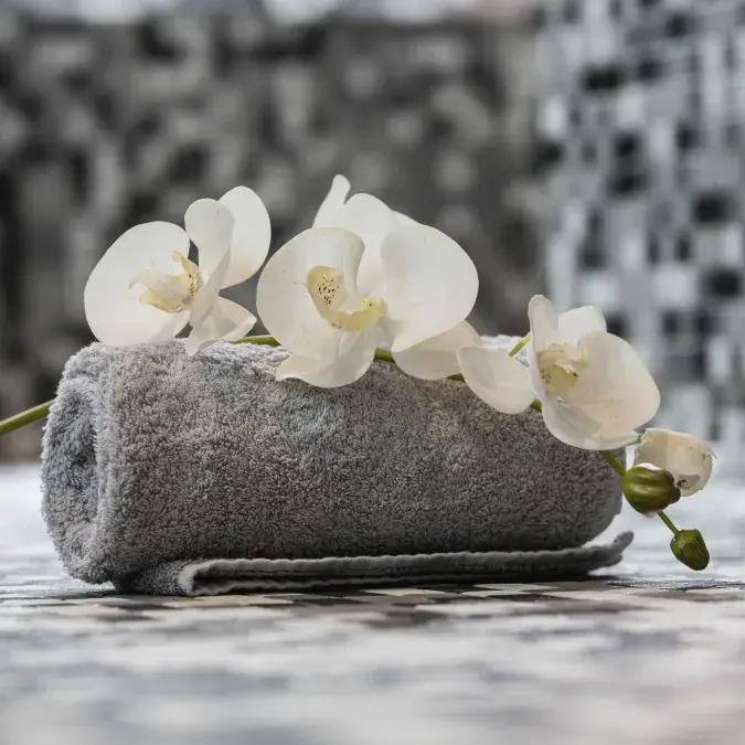 Rituel - Retour aux sources_Lacaune