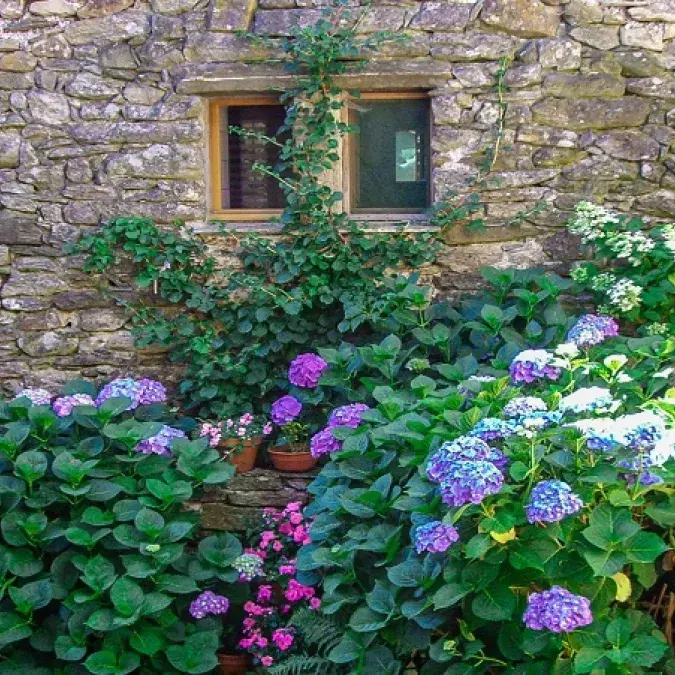 Le Gîte du Caroux_Rosis