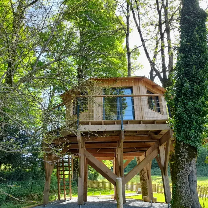 Cabane dans les arbres