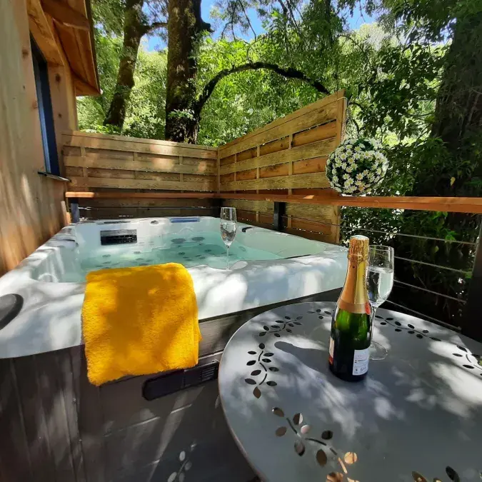 Cabane dans les arbres