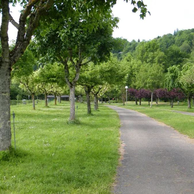 Municipal la Rabaudié emplacements ombragés