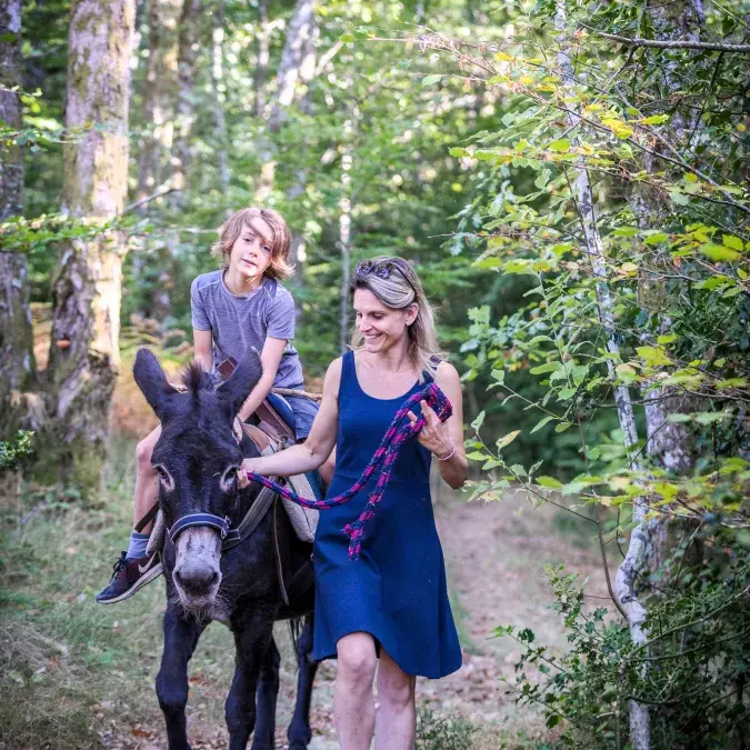 Balade à dos d'ânes