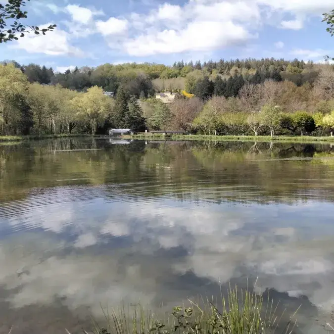 Camping Municipal La Rabaudie_Viane