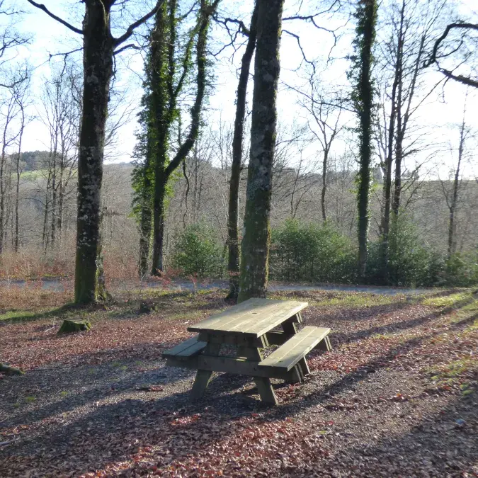 Aire de pique-nique de la Piguière - Anglès