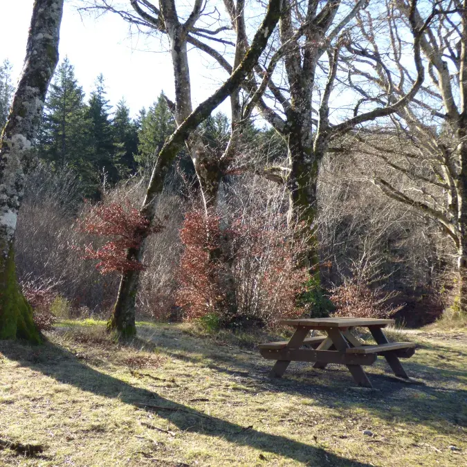 Aire de pique-nique du ruisseau des Planquettes_La Salvetat-sur-Agout