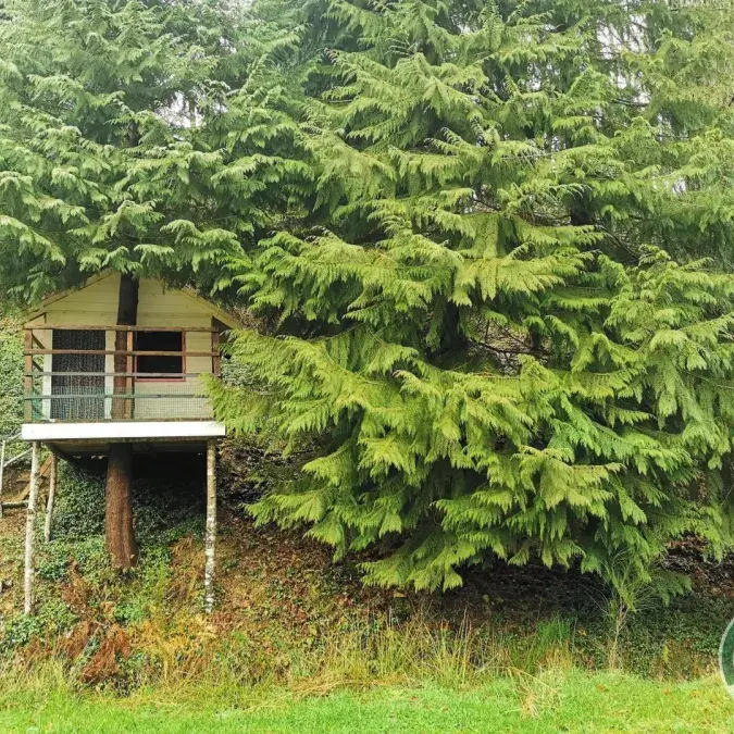 Domaine de Label - Chalet de Louise_La Salvetat-sur-Agout