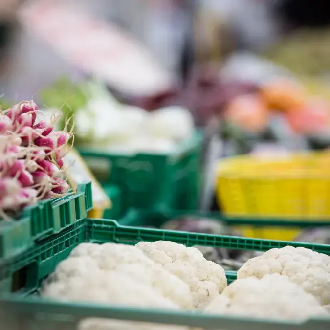 Marché hebdomadaire_La Salvetat-sur-Agout