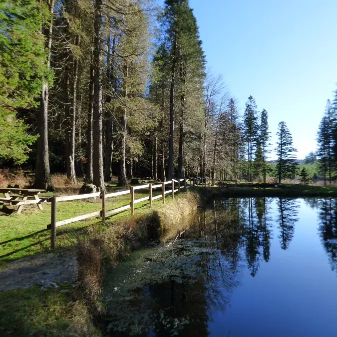 Aire de pique-nique de Poutras_Lacaune