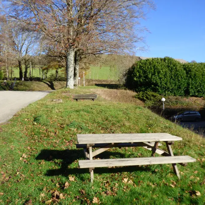 Aire de pique-nique de la salle des fêtes_Murat-sur-Vèbre