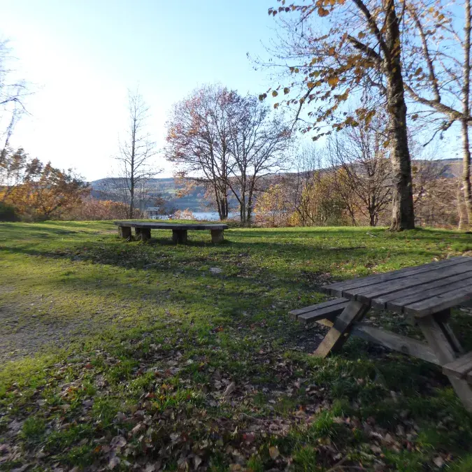 Aire de pique-nique du lac du Laouzas (n°1)_Nages