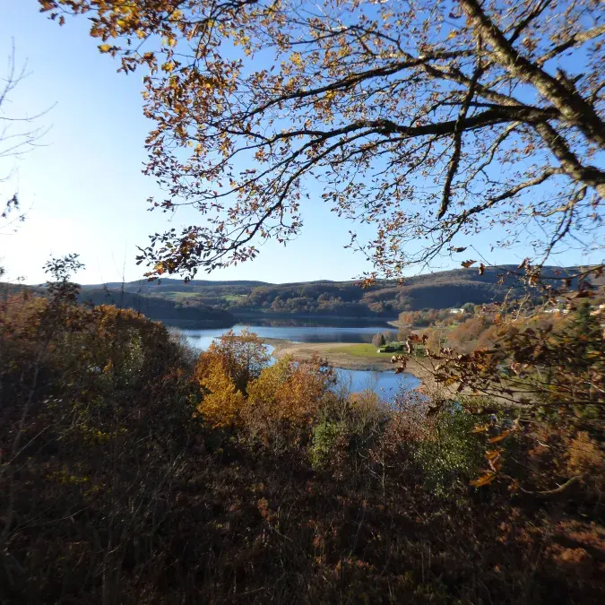 Aire de pique-nique du lac du Laouzas (n°1)_Nages