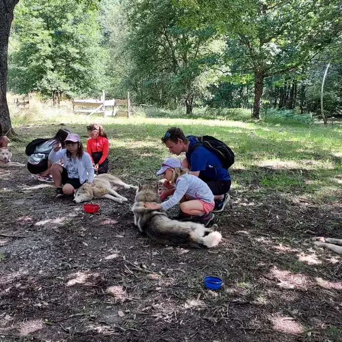 Randonnée cani-marche_Nages