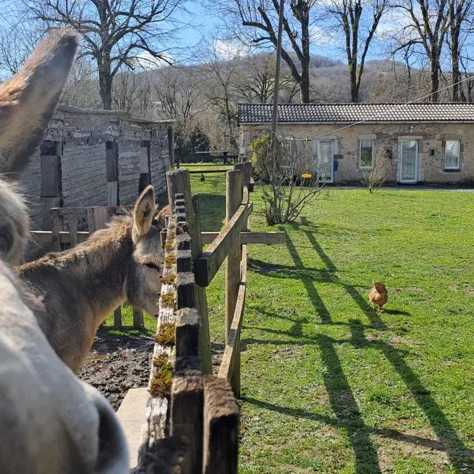 La Rabaudié, Viane, Tarn - Réf G922 sur Gîtes de France