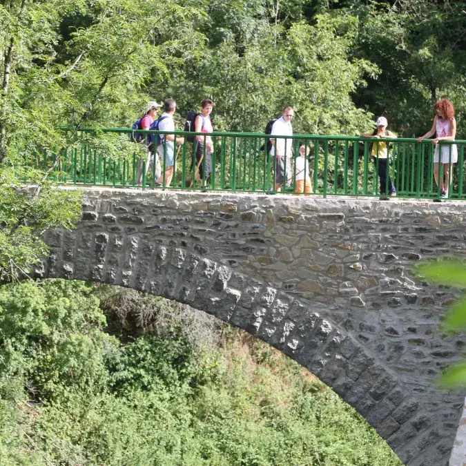 Le Petit Train_Lacaune
