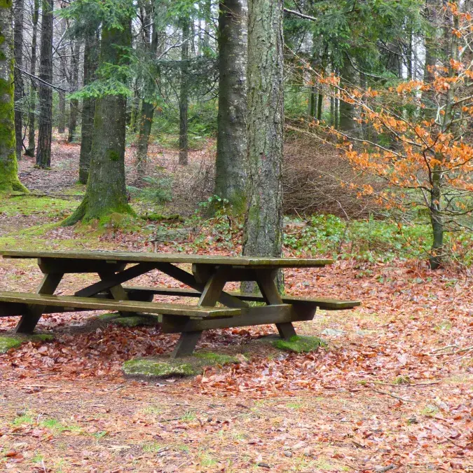 Aire de pique-nique de Vésoles - Parking 1_Fraisse-sur-Agout