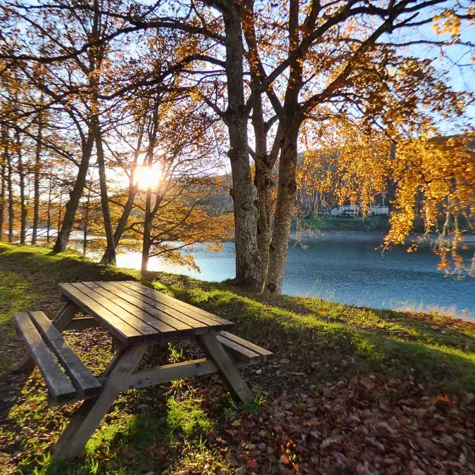 Aire de pique-nique du lac du Laouzas (n°3)_Nages