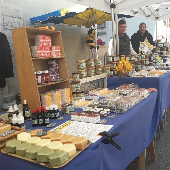 Anglès Mellifica_Anglès