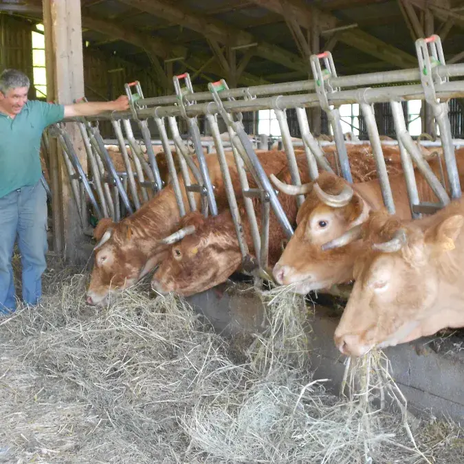 Alain Senegas_Anglès