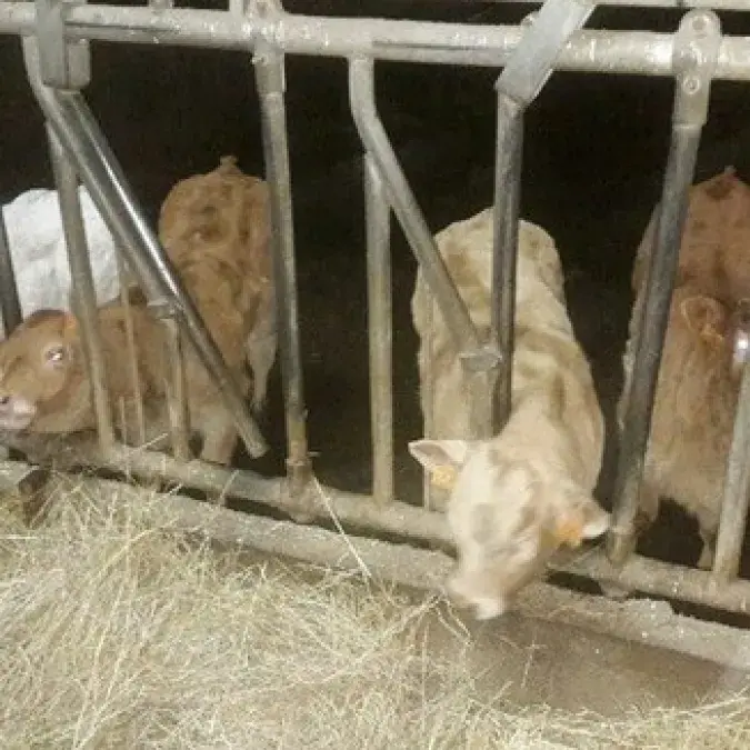 GAEC de Saussonnières_Berlats