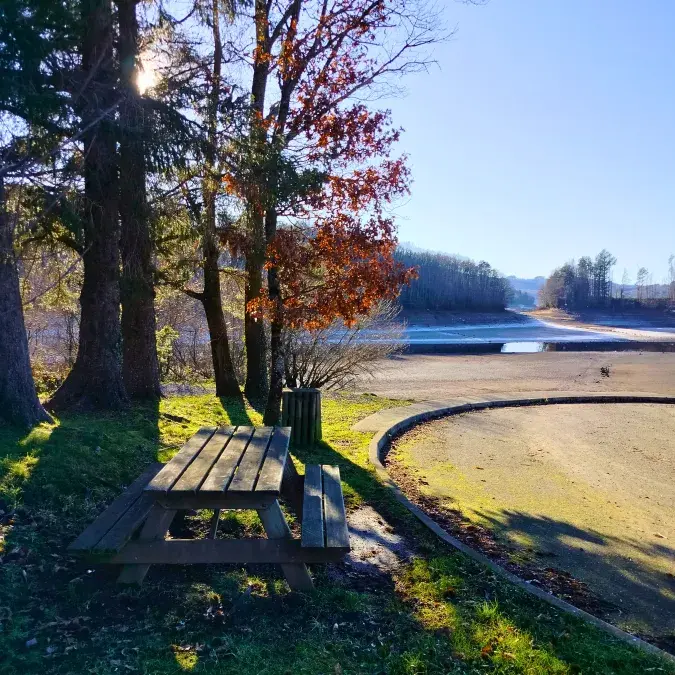 Aire de pique-nique du Gua des Brasses n° 1_La Salvetat-sur-Agout