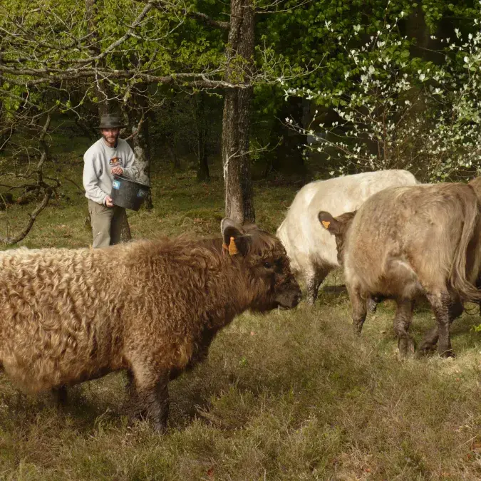 La ferme des Signoles_Fraisse-sur-Agout