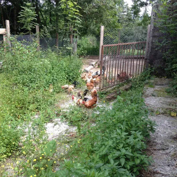 Le Cledela_Fraisse-sur-Agout