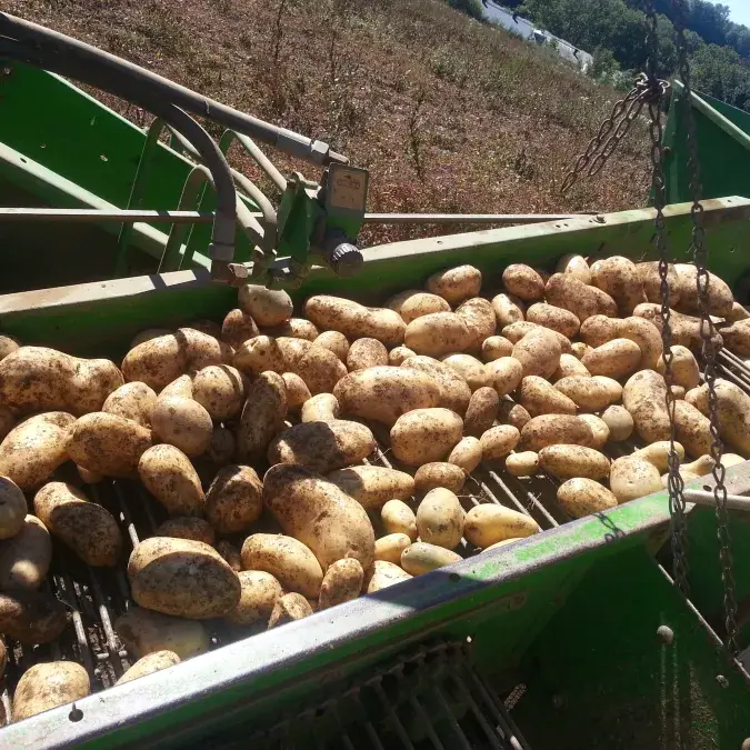 GAEC Moulin de Louat_Murat-sur-Vèbre