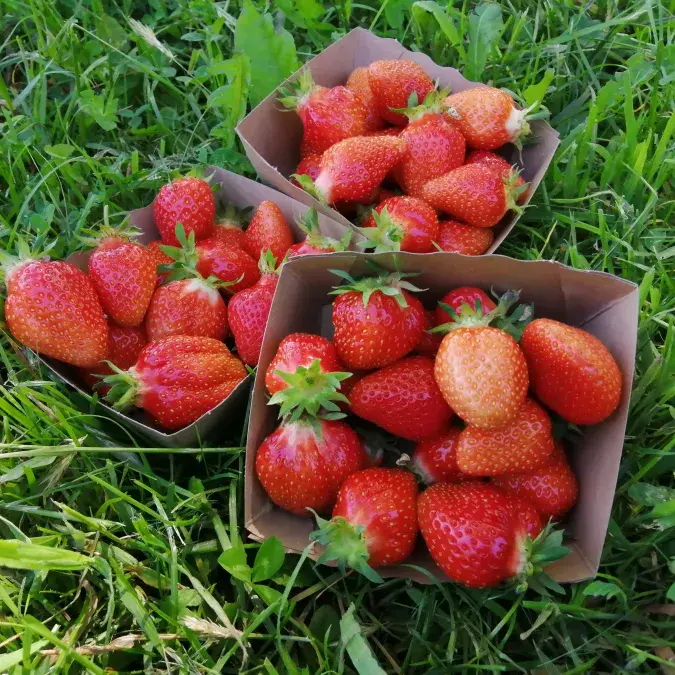 L'îlet aux légumes_Murat-sur-Vèbre