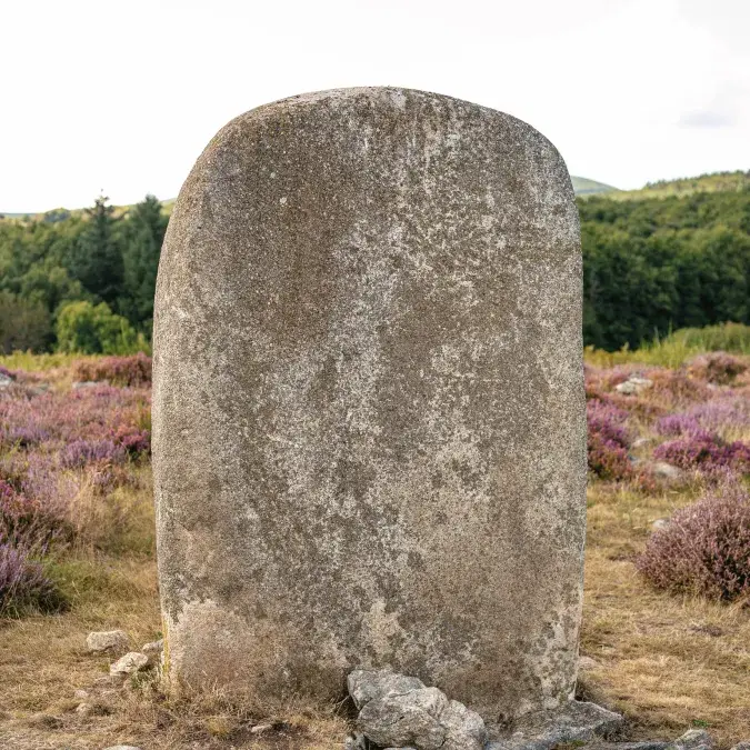 Statue Menhir de Rouiregros_Nages