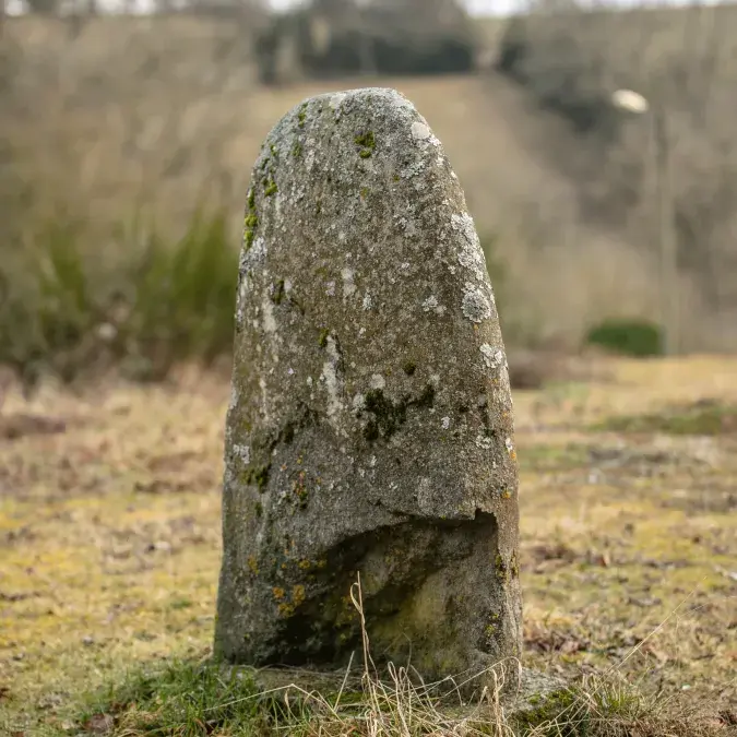 Arrière de la statue-menhir de Rieuviel (2)