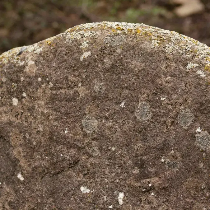 Détail de la partie supérieure de la statue-menhir de Haute Vergne